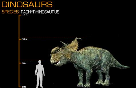 Disney Dinosaur Size Comparison Pachyrhinosaurus By Wolfman3200 On