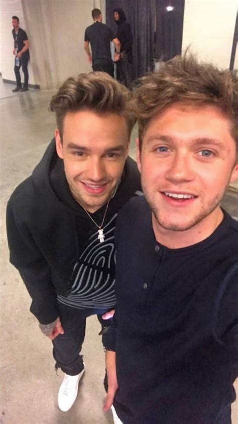 Niall Horan Liam Payne Have A One Direction Reunion