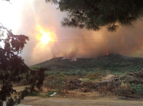 Din cauza temperaturilor ridicate, riscul de producere a unor incendii de vegetație este crescut. Incendii Grecia | Stare de urgență în insula Thassos ...