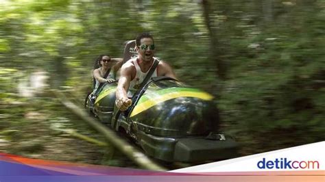 In the whole world, everyone wants proper names. Foto: Main Kereta Luncur Salju, Tapi di Hutan Jamaika - Foto 4