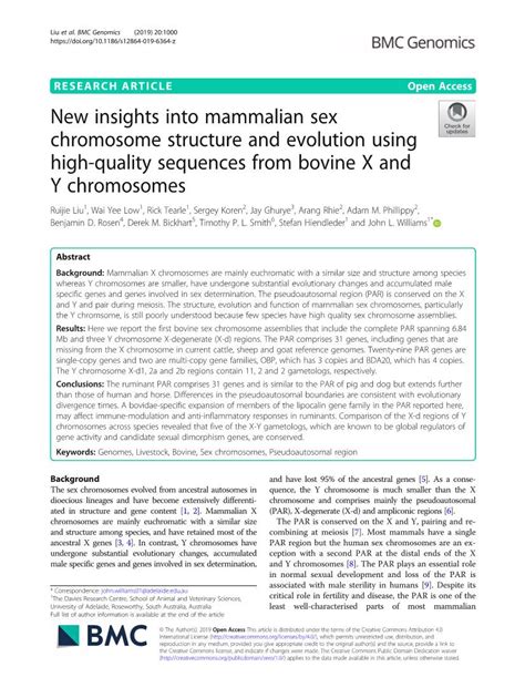 New Insights Into Mammalian Sex Chromosome Structure And Evolution