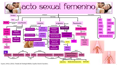 La Fisiología de Diana 2015