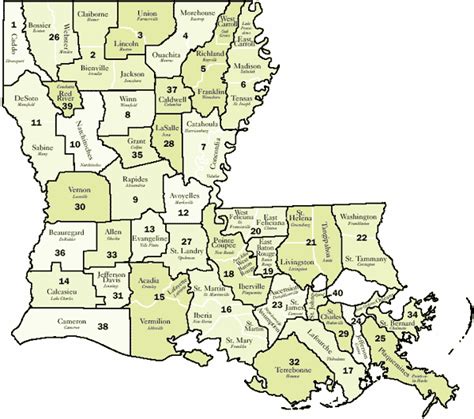 Louisiana District Courts Resources Petkovich Law Firm
