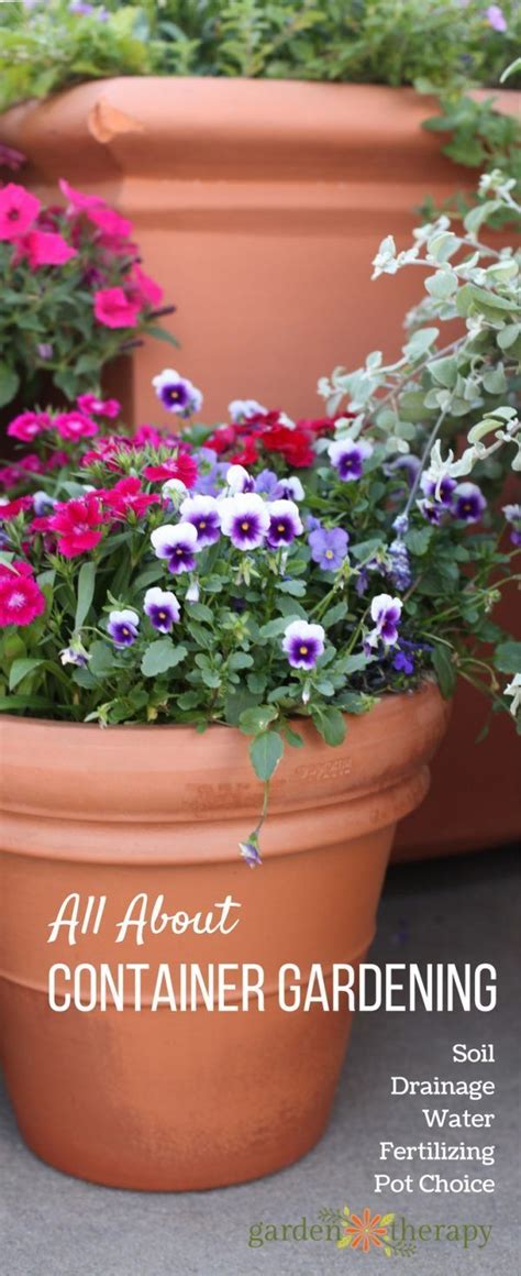 Everything You Need To Know About Container Gardening The Secrets To