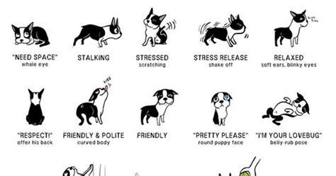 Incredibly Detailed Charts Will Help You Speak Your Dogs