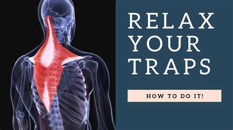 Relax A Painful Tight Trapezius Muscle In Neck Fast Exercises