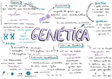 Genetica Molecular Mapa Mental