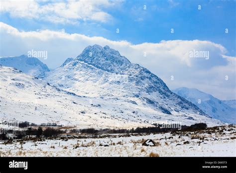 Wintry View To Mount Tryfan Mountain East Face With Late Snow In Spring