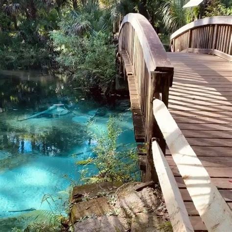 Fern Hammock Springs Florida Florida Travel Picturesque Water