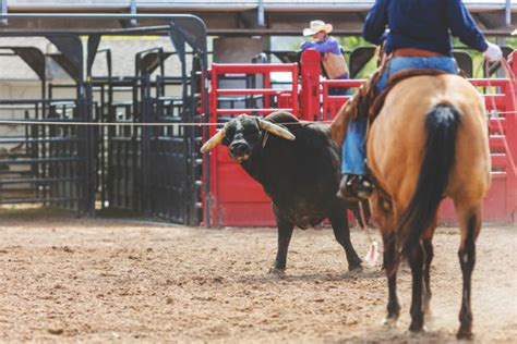 140 Badut Rodeo Foto Stok Potret And Gambar Bebas Royalti Istock