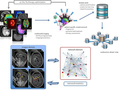 Frontiers Expected Impacts Of Connected Multimodal Imaging In
