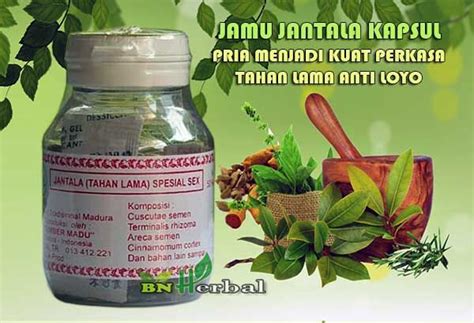 Ini berbeda jika kamu mengonsumsi obat kuat kimia. Ramuan Kuat Untuk Pria - Obat Kuat