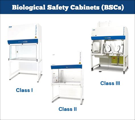 Biosafety Cabinet Vs Laminar Flow Hood Cabinet Home Decorating Ideas R V W
