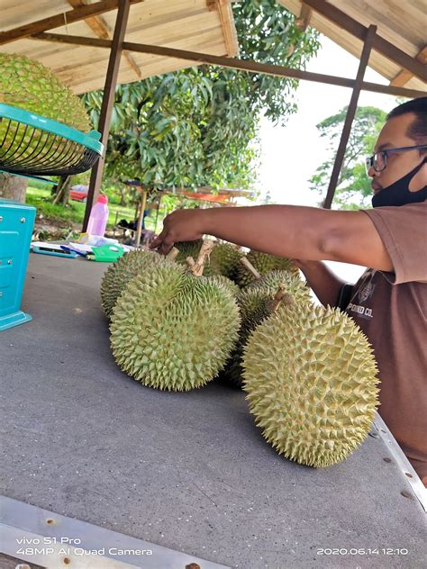 Bersihkan setiap kotoran hidung yang mungkin menempel di hidung kucingmu. ~ Aku ingin Bahagia dan Membahagiakan setiap Jiwa di dalam ...