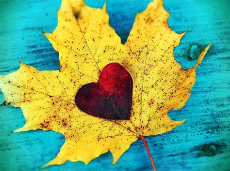 Autumn Heart Wallpapers High Quality Download Free