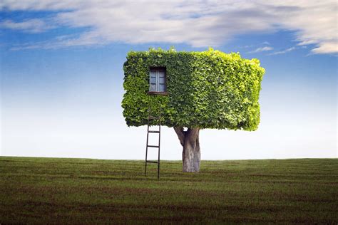 Funny Tree House Wallpapers Hd Desktop And Mobile Backgrounds