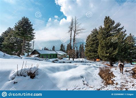 Beautiful View Of Pahalgam During Winter Season Stock Image Image Of