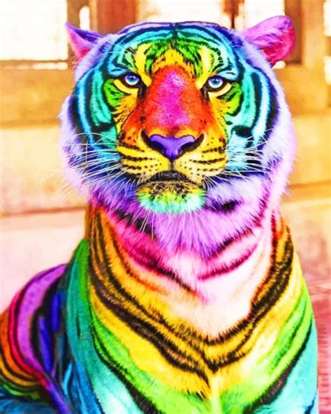 Rainbow Tiger New Paint By Numbers Paint By Numbers For Adult