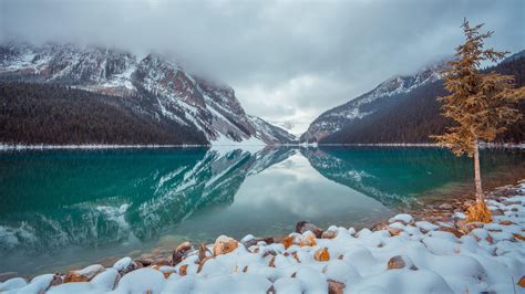 Lake Louise In Winter Wallpaper Backiee