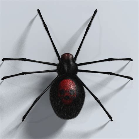 Black Spider Rigged 3d Model Flatpyramid