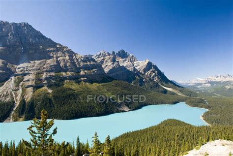 Mountain Landscape With Turquoise Water Of Peyto Lake Banff National
