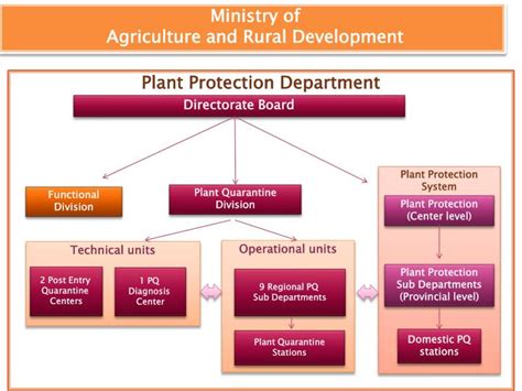 ग्रामीण विकास मंत्रालय ministry of rural development. PPT - PLANT PROTECTION and PLANT QUARANTINE IN VIETNAM ...