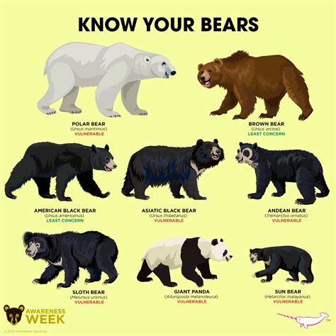 Jason Gilchrist På Twitter Do You Know Your Bears Bearawarenessweek