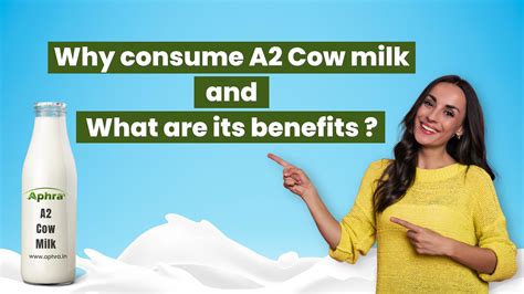 Benefits Of A2 Milk And A2 Milk Product By Aphraproducts Issuu
