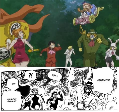 Anime Vs Manga One Piece Manga