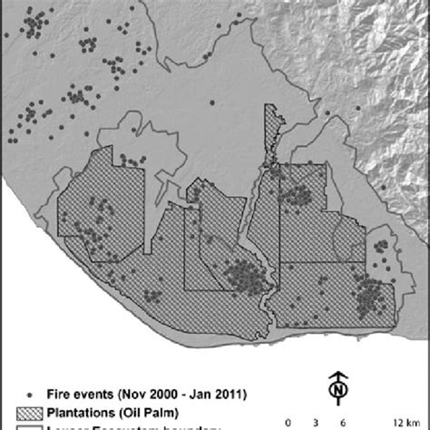 Map Of Deforestation 19902006 Logging Roads And Remaining 2006