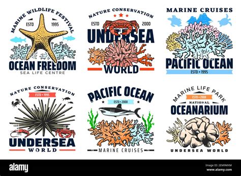 Oceanarium Underwater Sea And Ocean Animals Vector Icons Marine Boat
