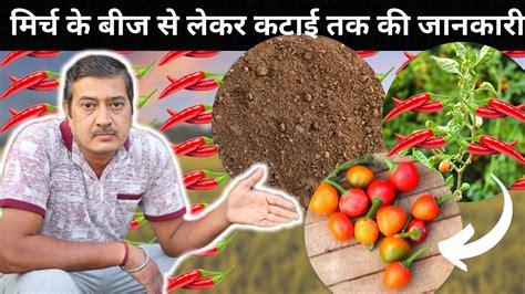 "Spice Up Your Garden: A Step-by-Step Guide on Growing the Hottest