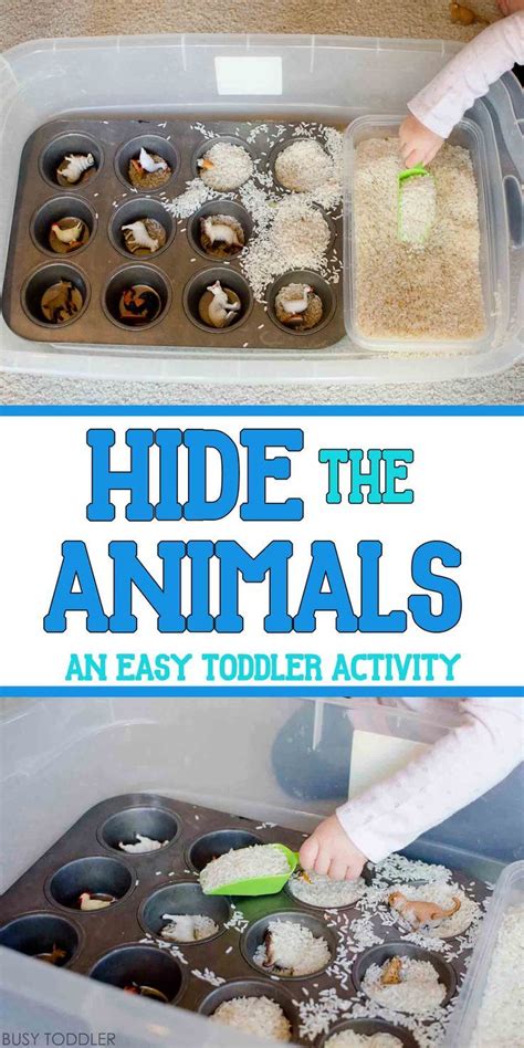 Hide the Animals Sensory Bin | Indoor activities for ...