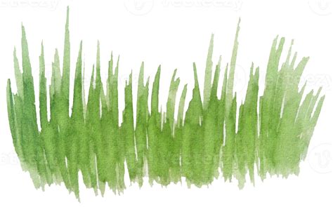 Watercolor Grass Hand Drawn 10792309 Png