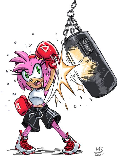 2168 Safe Artistmasarage Amy Rose 30 Days Sonic Boxing Gloves