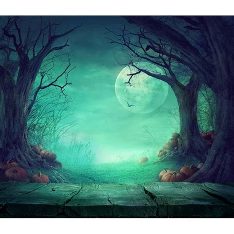 Custom Vinyl Cloth Horror Halloween Moon Night Photography Backdrops