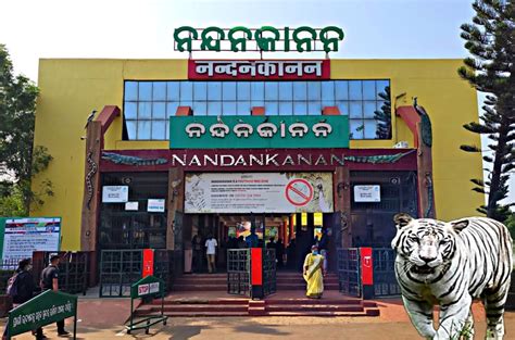 Nandankanan Zoological Park One Of The Best And First Zoos In India