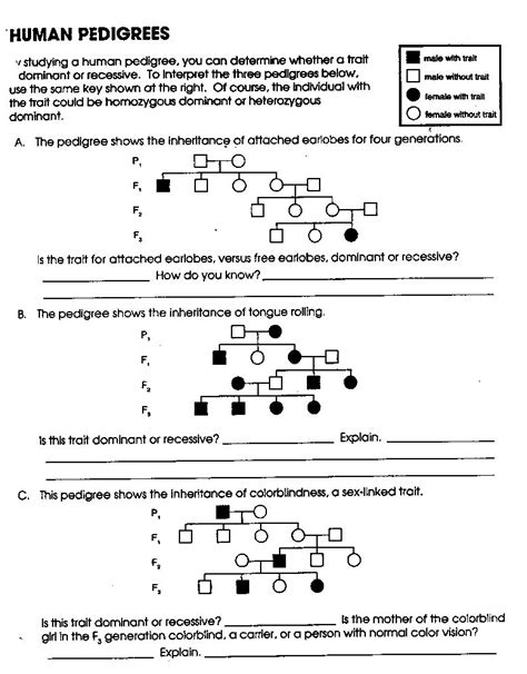 Pedigree Practice Problems Worksheet With Answers