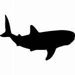 Shark Whale Svg Shape Icon Vector Silhouette