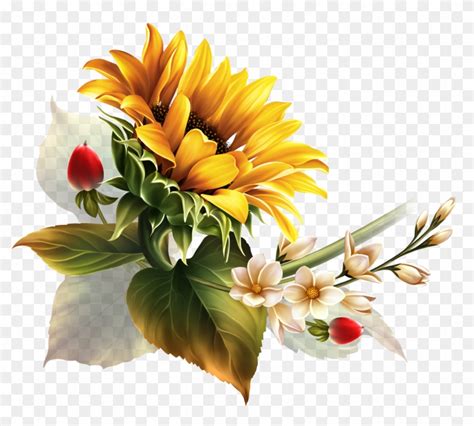 Bright Yellow Sunflower Most Beautiful Flowers Exotic Clip Art Hd