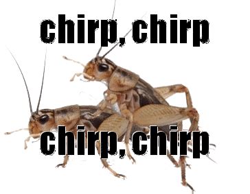The best memes from instagram, facebook, vine, and twitter about crickets. Crickets chirping gif 5 » GIF Images Download