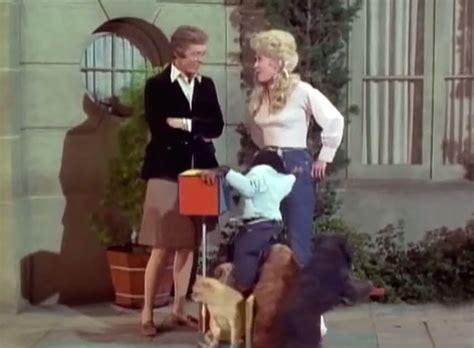 The Beverly Hillbillies Elly The Working Girl Cinema Cats