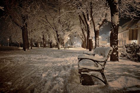 Snow Winter January In The Free Photo On Pixabay Pixabay