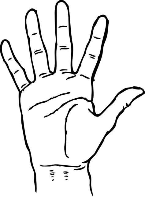 Hand Palm Facing Coloring Page | Coloring Sky