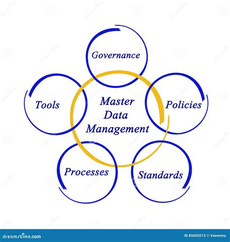 Master Data Management Data Governance Data Quality