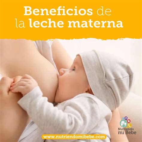 Nutriendo Mi Beb Beneficios De La Leche Materna