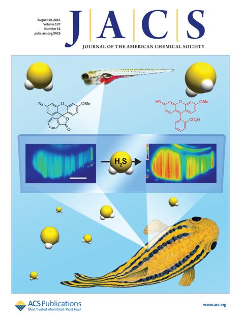 Pluth Lab Research Collaboration On The Cover Of Jacs Essential Elements
