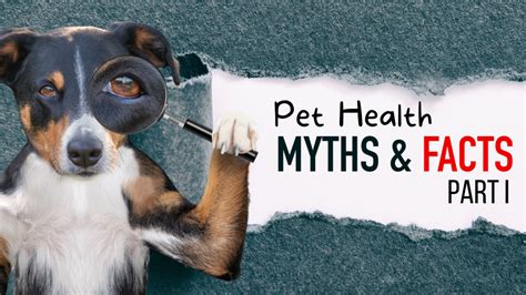 Pet Myths Part I