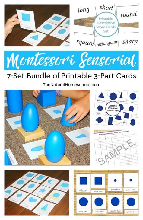 7 Printable Montessori Sensorial Materials The Natural Homeschool