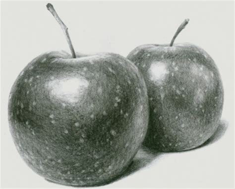 It's called the apple pencil because of its resemblance to a traditional apple is exploring new apple pencil technology that could allow the device to sample colors from the real world to use in digital art, drawings, edits. 6 Reflective Objects | Pencil Drawing Made Easy
